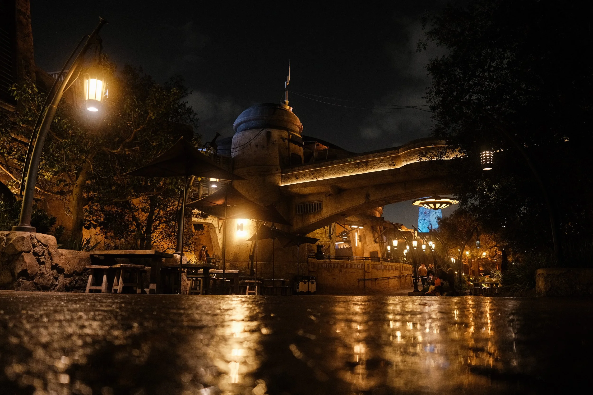 Fujifilm X-T5 Night Photography: Low Light High ISO Image Samples